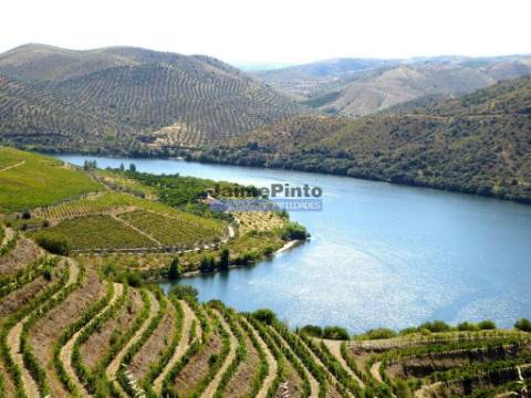1.570.000m2, Vinha, Olival, Amendoal, Casa. Portugal, Douro, Foz Côa.