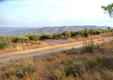 Propriedade rústica 19.000m2, Agrícola, Pinhal. Portugal, Bragança, Poiares.
