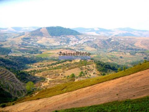 Propriedade rústica 70.000m2, em Ligares. Portugal, Bragança, Freixo E. à Cinta, Ligares.