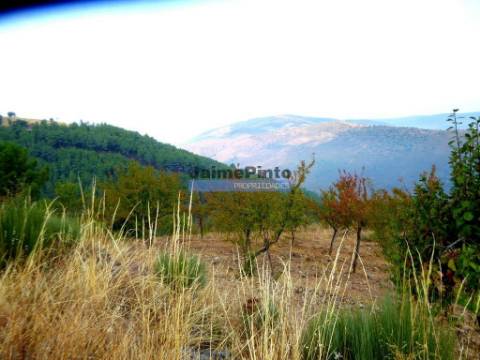 Propriedade rústica 70.000m2, em Ligares. Portugal, Bragança, Freixo E. à Cinta, Ligares.