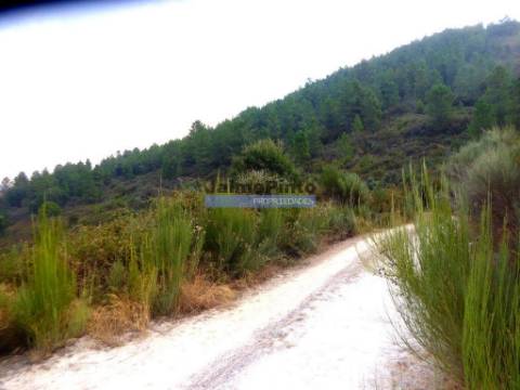 Propriedade rústica 70.000m2, em Ligares. Portugal, Bragança, Freixo E. à Cinta, Ligares.