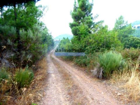 Propriedade rústica 70.000m2, em Ligares. Portugal, Bragança, Freixo E. à Cinta, Ligares.