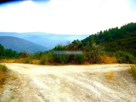 Propriedade rústica 70.000m2, em Ligares. Portugal, Bragança, Freixo E. à Cinta, Ligares.
