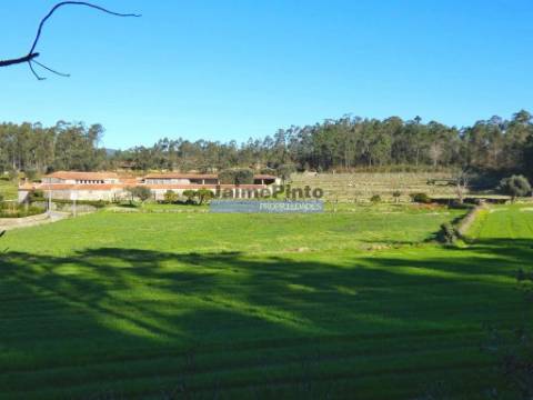 60.000m2 Terreno, Floresta, Casa, Capela, Edifícios, em Barcelos. Portugal, Norte, Braga.