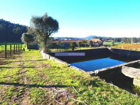 60.000m2 Terreno, Floresta, Casa, Capela, Edifícios, em Barcelos. Portugal, Norte, Braga.