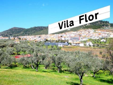 Ruína e terreno para construção de edifício de R/chão e 3 pisos, TURISMO. Portugal, VILA FLOR.