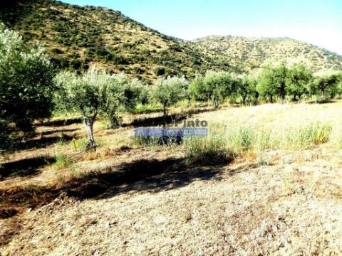 150.000m2 com Olival, em Barca DAlva. Portugal, Douro Superior, Barca DAlva.