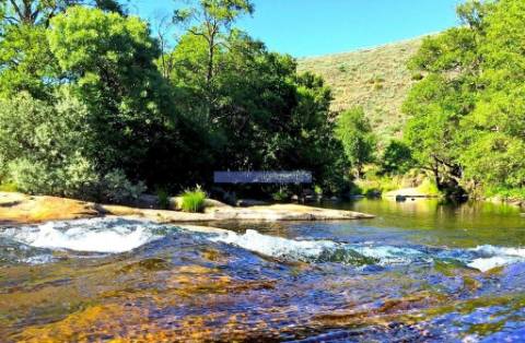 Quinta 38.000m2, com 400 Oliveiras, casa em PEDRA, inserida na Natureza. Portugal, Guarda, Celorico da Beira.