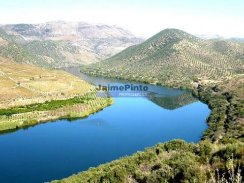 350.000m2 de terra rústica com olival. Portugal, Vila Nova de Foz Côa, Douro.