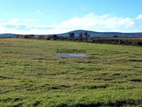Terreno rústico 32,5ha p/ plantações novas. Portugal, Guarda, Figueira de Castelo Rodrigo.
