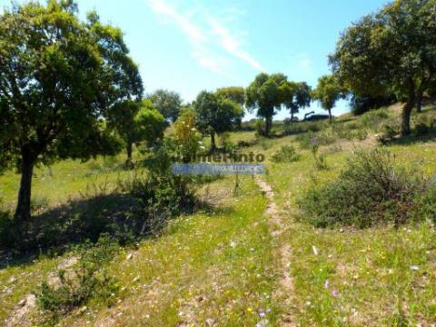 Herdade 800.000m2, Alentejo, Alqueva. Portugal, Portel.