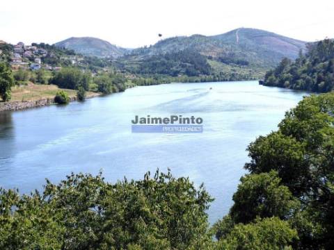 Terreno 40.500m2 vizinho ao rio Douro. Portugal, Porto, Penafiel, Entre-os-Rios.