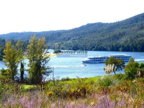 Terreno 40.500m2 vizinho ao rio Douro. Portugal, Porto, Penafiel, Entre-os-Rios.