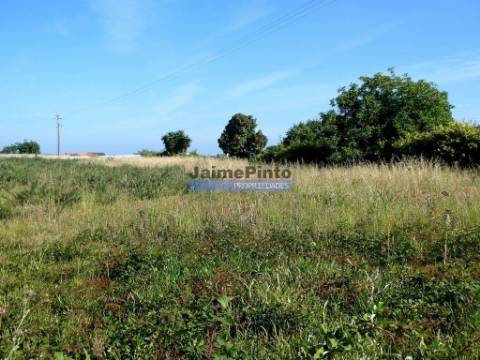 Terreno urbano 9.000m2. Portugal, Cacia, Aveiro.