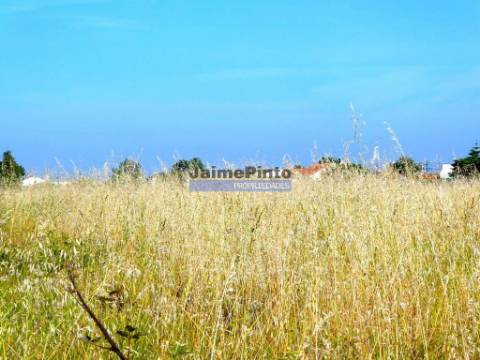Terreno urbano 9.000m2. Portugal, Cacia, Aveiro.