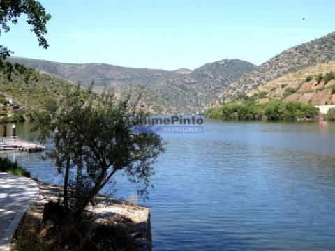 Quinta, Vinha, Casa, frente rio Douro. Portugal, Foz do Sabor, Torre de Moncorvo.