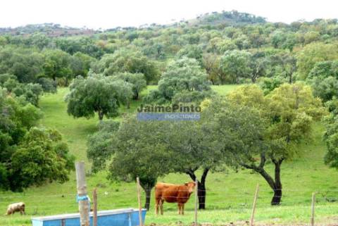 3.500.000m2 Herdade próxima Alqueva. Portugal, Évora, Portel.
