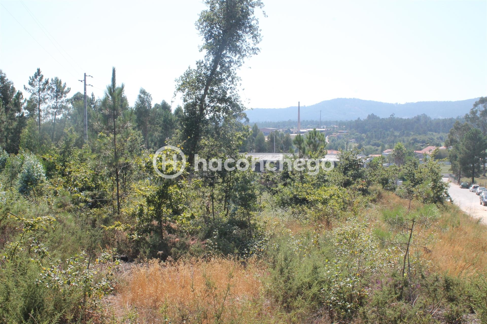 Terreno  Venda em Ucha,Barcelos
