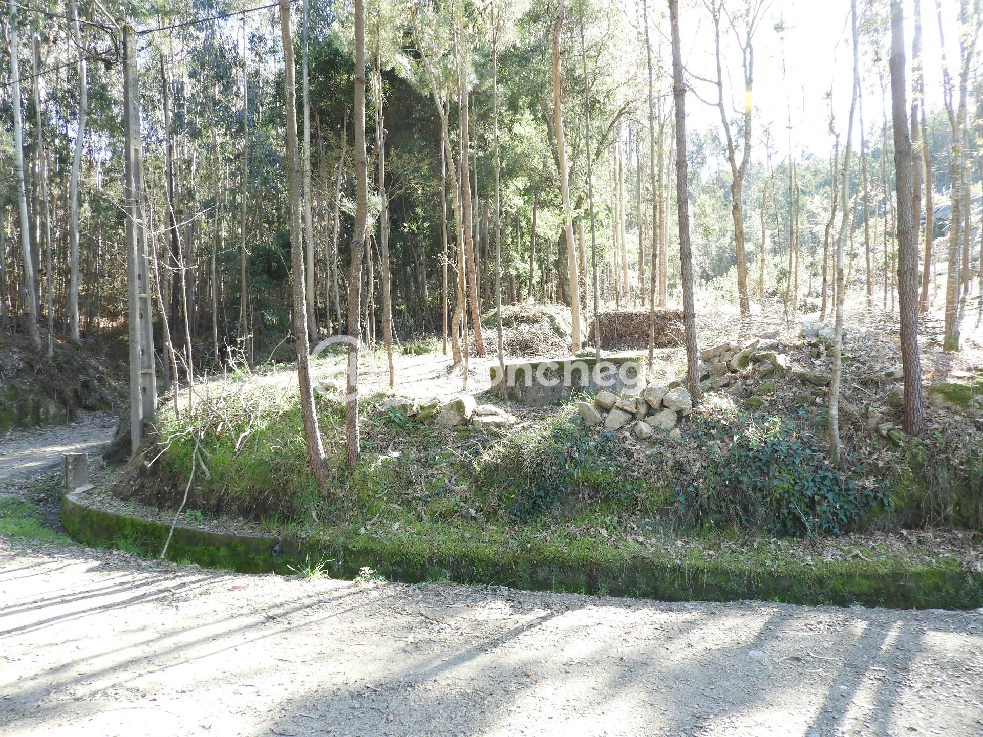 Terreno Rústico com 3051m2 Quintiães - Barcelos