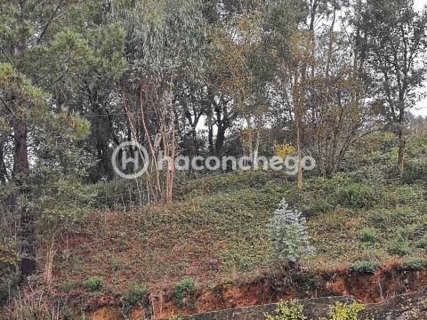 Lote Construção 640m2 Abade de Neiva - Barcelos