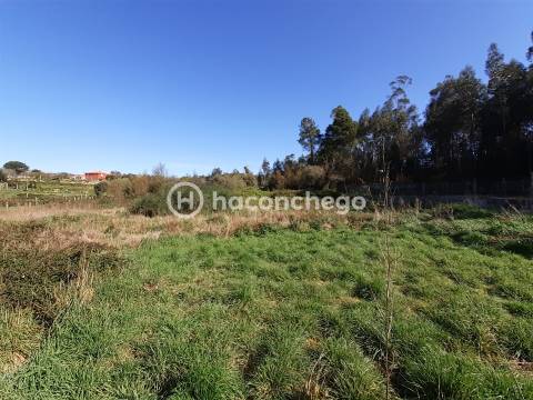 Terreno agricola Alvito São Pedro Barcelos