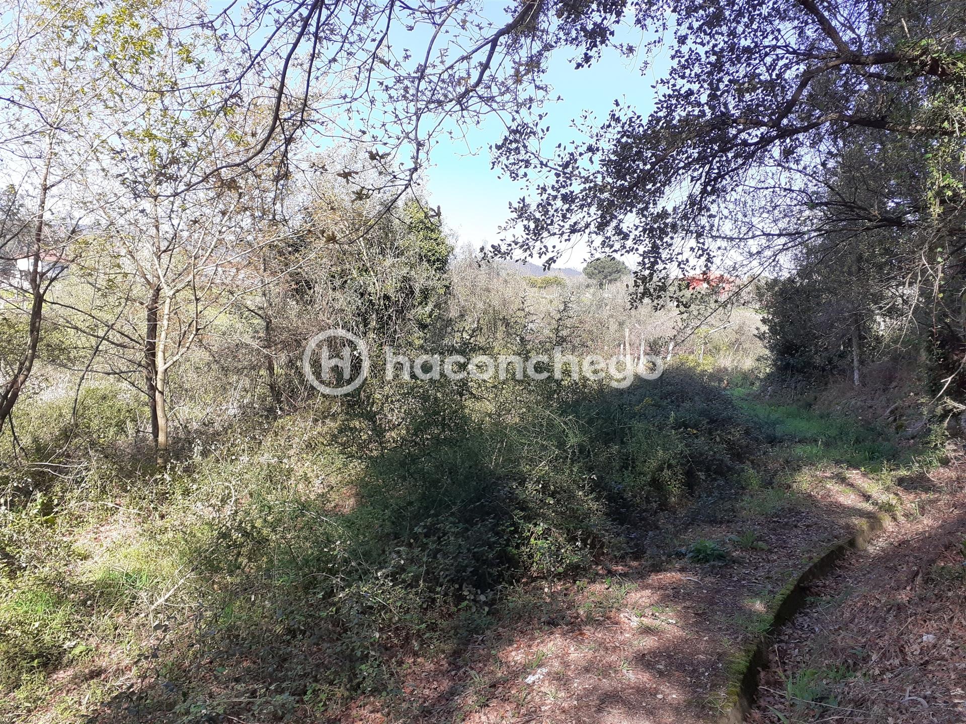 Terreno agricola Alvito São Pedro Barcelos