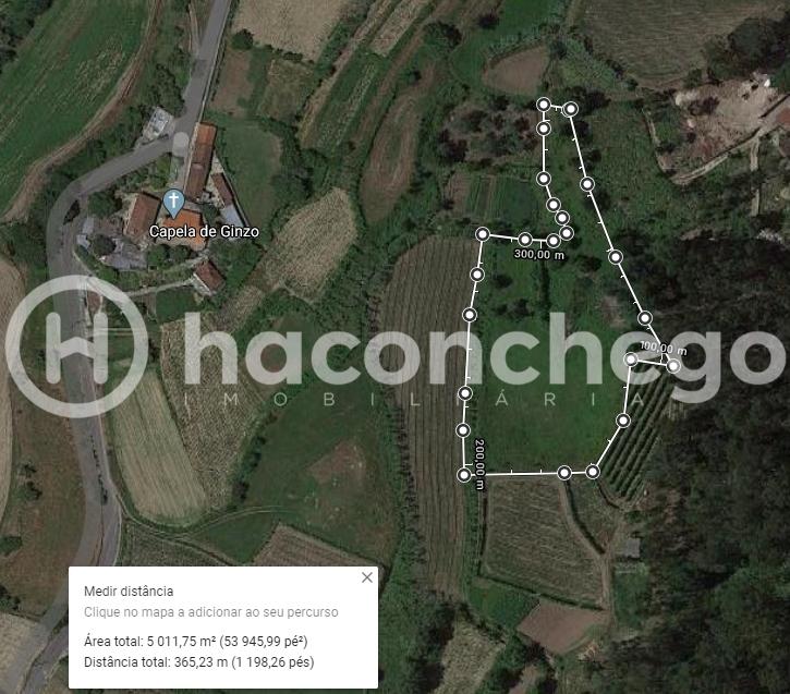 Terreno agricola Alvito São Pedro Barcelos