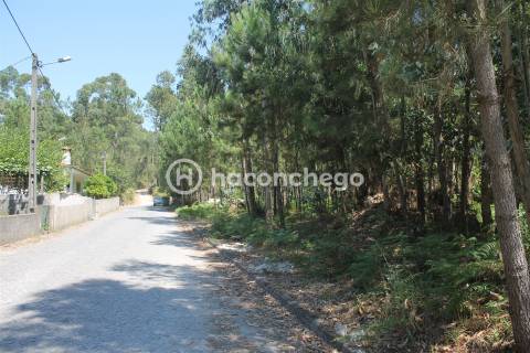 Terreno para Construção em Alvelos Barcelos