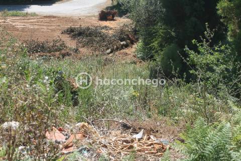 Terreno urbano na Lama Barcelos