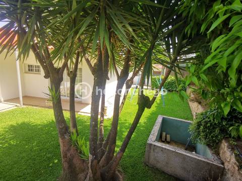Moradia isolada T3 para arrendamento em Barcelos