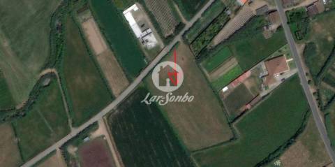 Terreno na freguesia de GINETES com projeto aprovado para Moradia 