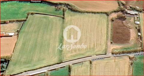 Terreno na freguesia de GINETES com projeto aprovado para Moradia 
