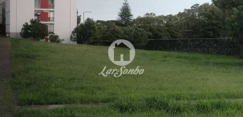 Lote Livramento