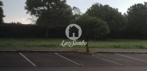 Lote Pico do Fogo Livramento