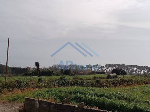 Terreno para construção de moradias em Labruge