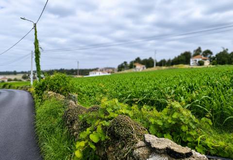 Fantástico Lote com 4.765 m² em Parada Vila do Conde