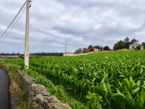 Fantástico Lote com 4.765 m² em Parada Vila do Conde