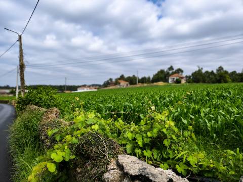 Fantástico Lote com 4.765 m² em Parada Vila do Conde