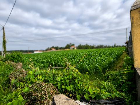 Fantástico Lote com 4.835 m² em Parada Vila do Conde