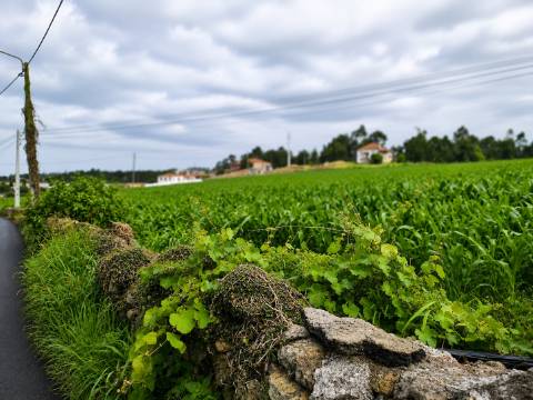 Fantástico Lote com 4.835 m² em Parada Vila do Conde