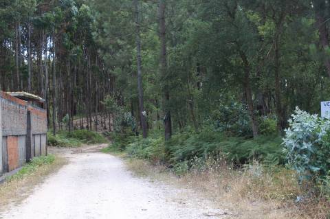 Terreno c/ 10712m2