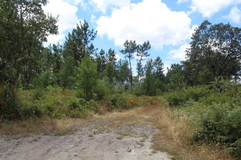 Terreno c/ 10712m2