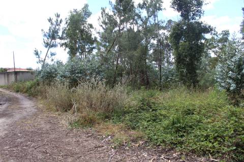 Terreno c/ 10712m2