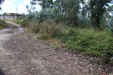 Terreno c/ 10712m2