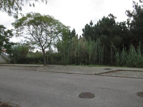 3 Lotes de terreno para construção