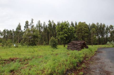 Terreno para construção
