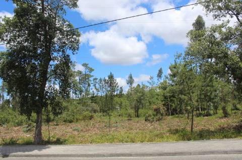 Terreno c/ 6970m2