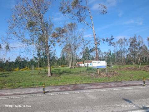 Terreno Disponível para Habitação ou Industria