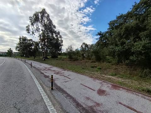 Terreno Disponível para Habitação ou Industria