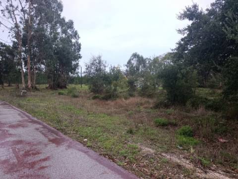 Terreno Disponível para Habitação ou Industria